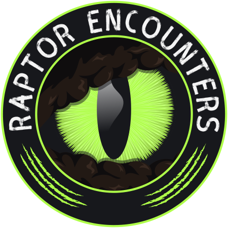 Raptor Encounters
